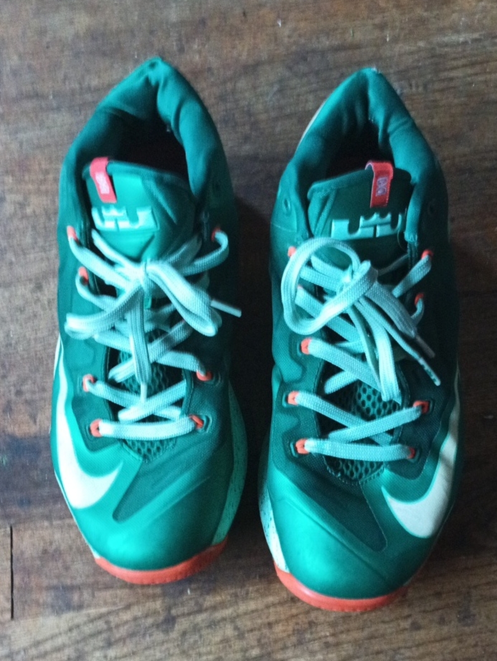 Lebron James 11 Low Biscayne Shoes